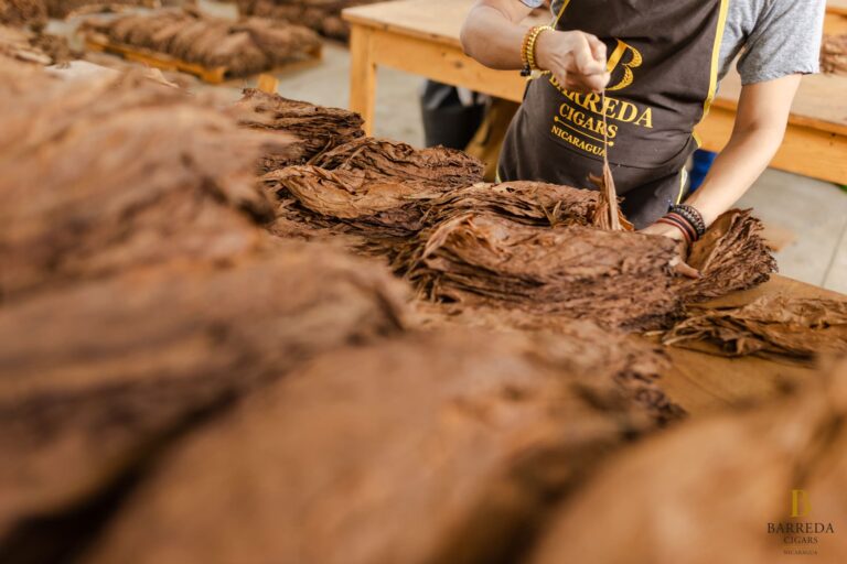 Servicios Barreda Cigars