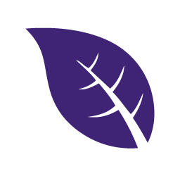 barreda cigars icons 2