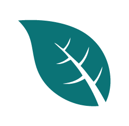 barreda cigars icons 4