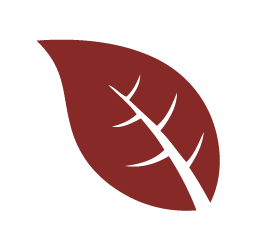 barreda cigars icons 5