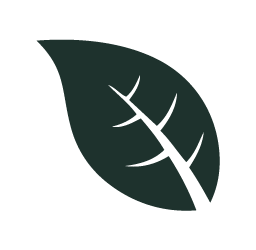 barreda cigars icons 6